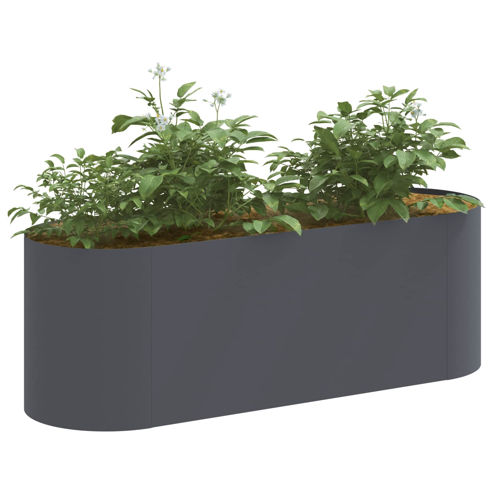 Letto rialzato da giardino Antracite 120 x 40 x 40 cm