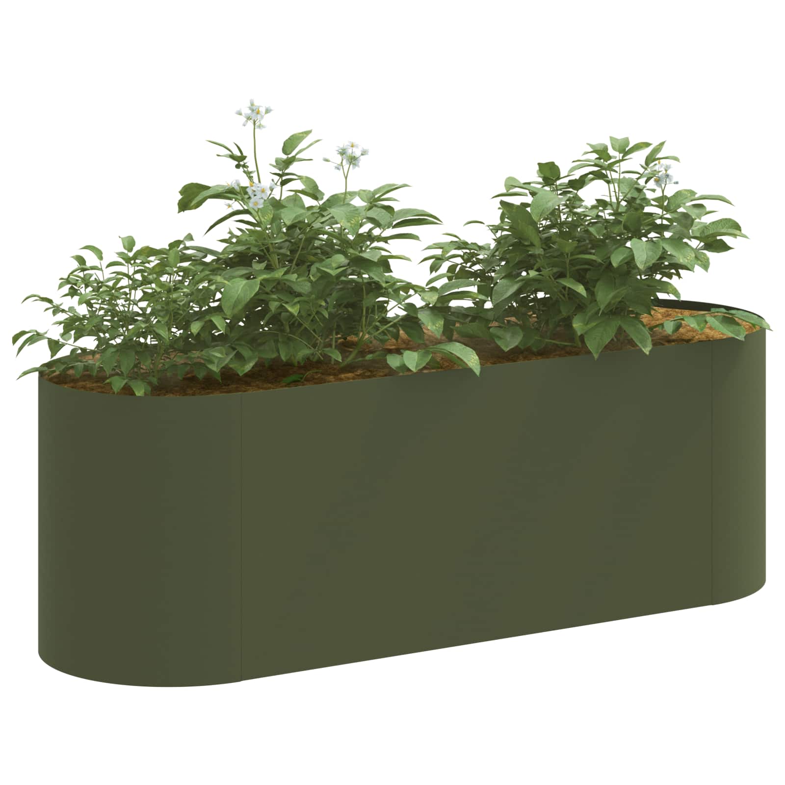 Letto rialzato da giardino Verde Oliva 120 x 40 x 40 cm