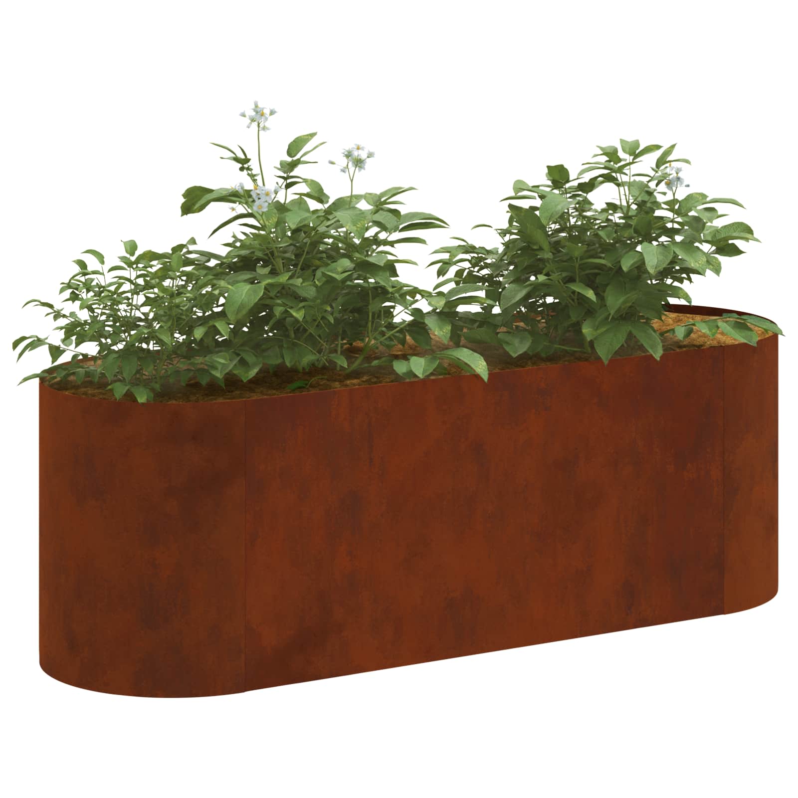 Letto rialzato da giardino Acciaio Corten 120 x 40 x 40 cm
