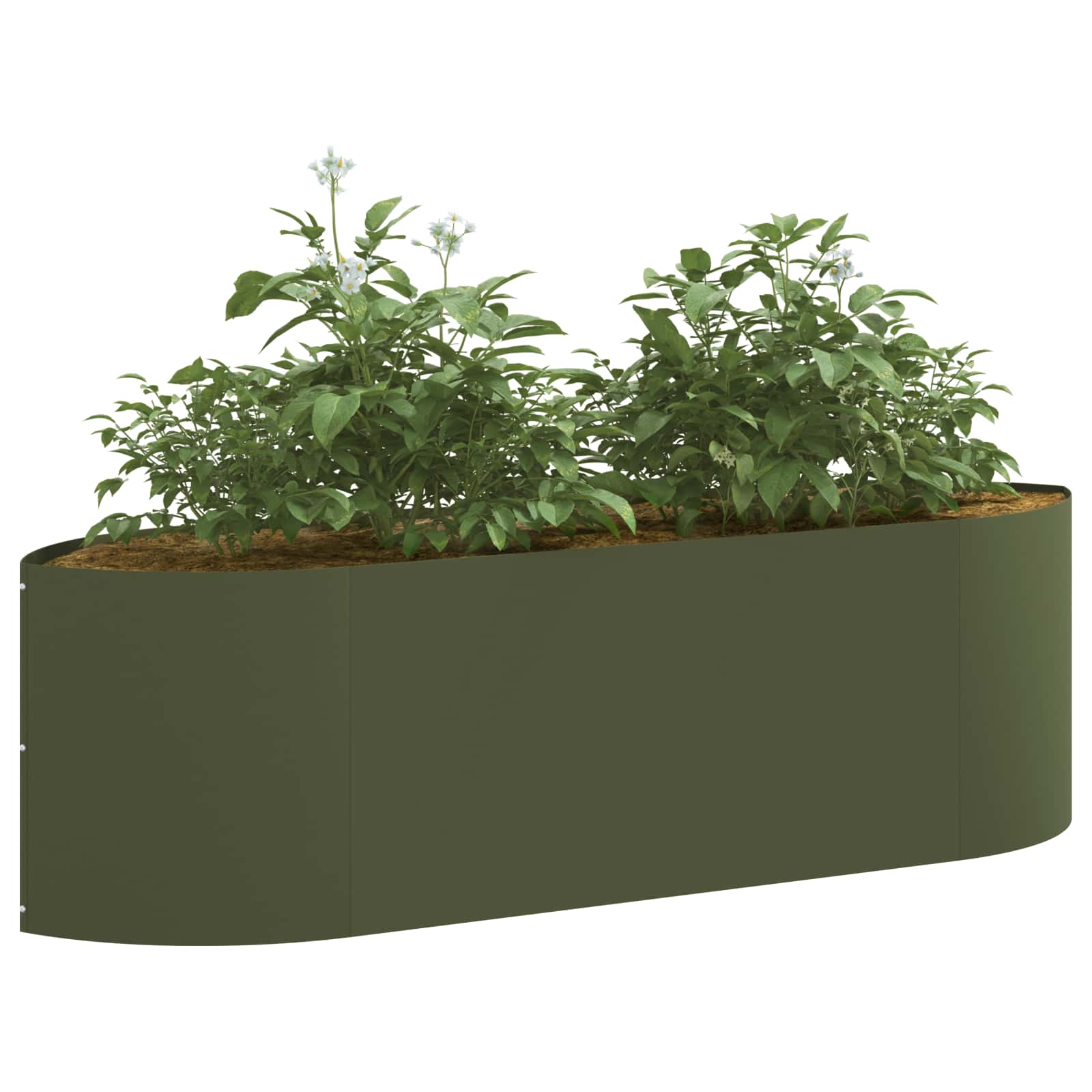 Letto rialzato da giardino Verde Oliva 140 x 40 x 40 cm Acciaio