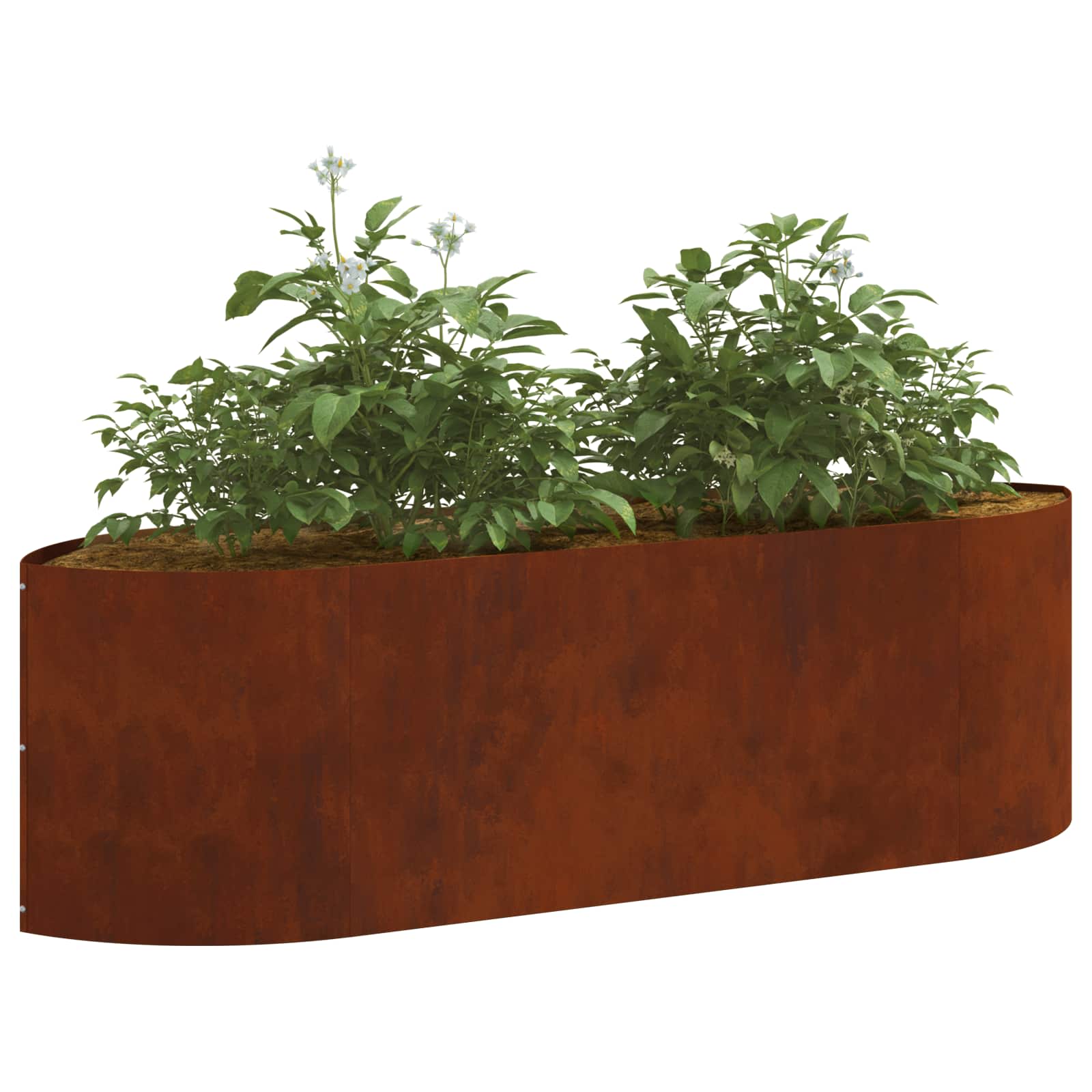 Letto rialzato da giardino Acciaio Corten 140 x 40 x 40 cm