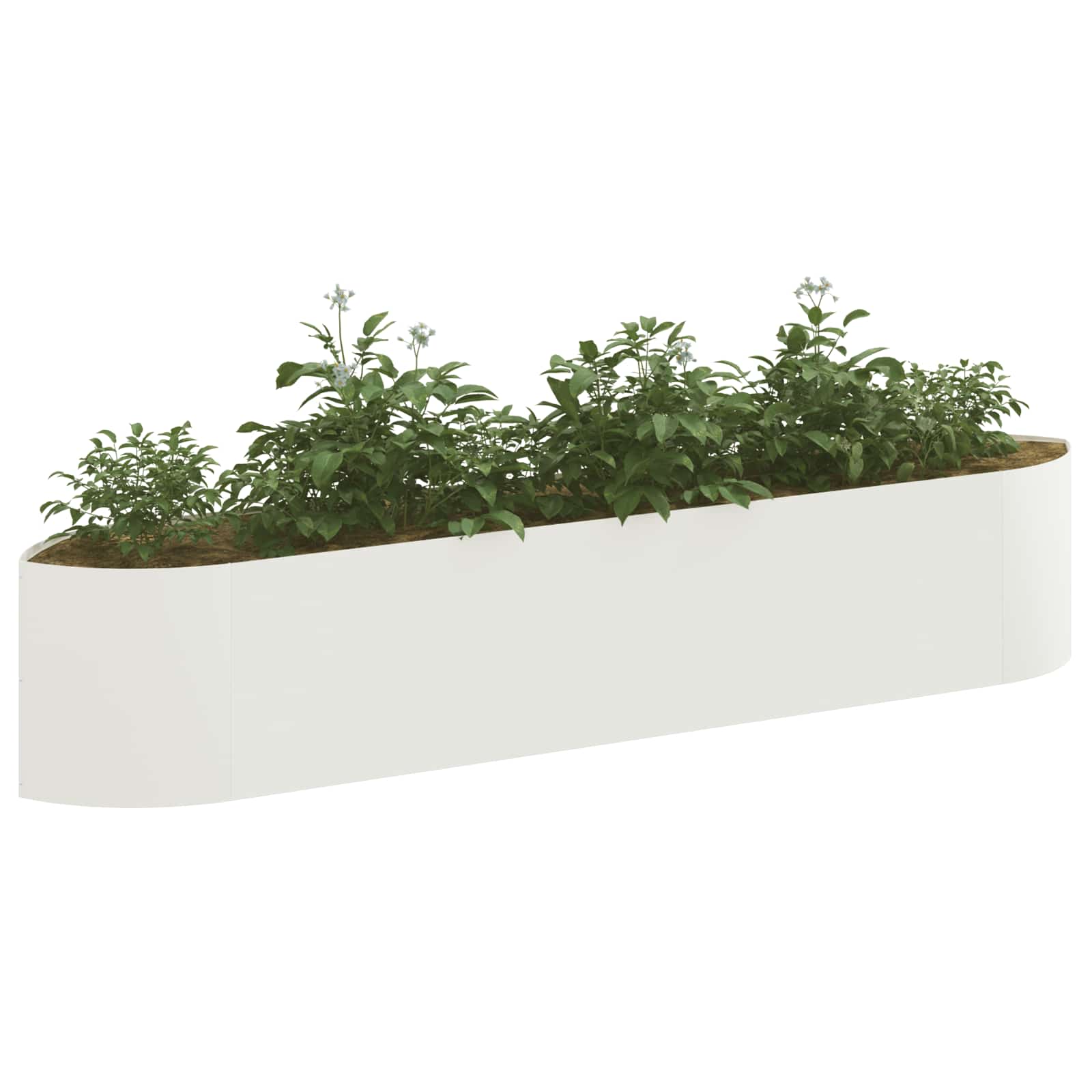 Letto rialzato da giardino Bianco 220 x 40 x 40 cm Acciaio