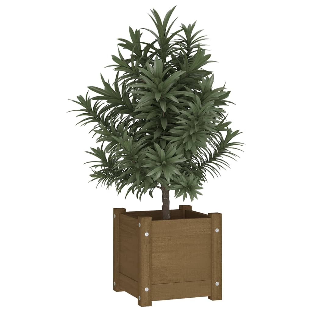 Fioriere 2 pz Ambra 31x31x31 cm in Legno Massello di Pino