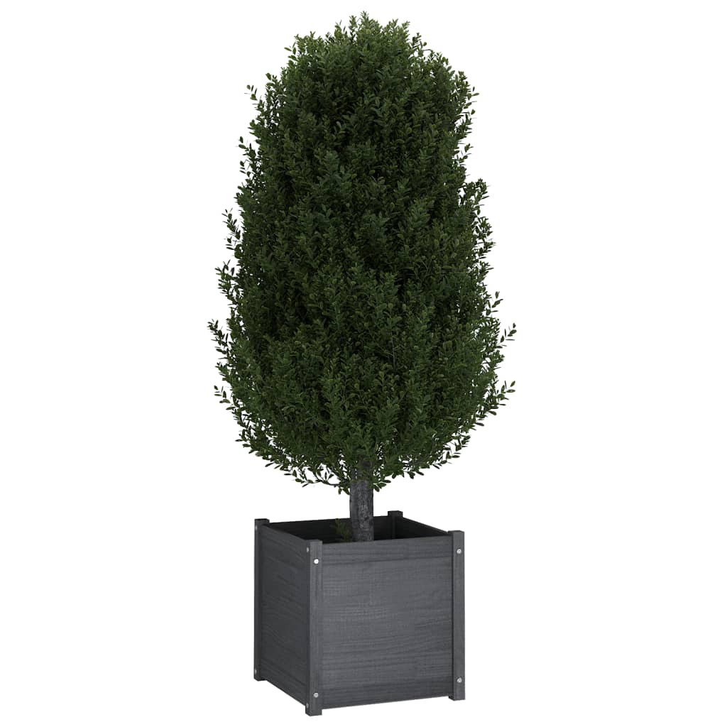 Fioriere da Giardino 2 pz Grigie 50x50x50 cm in Legno di Pino