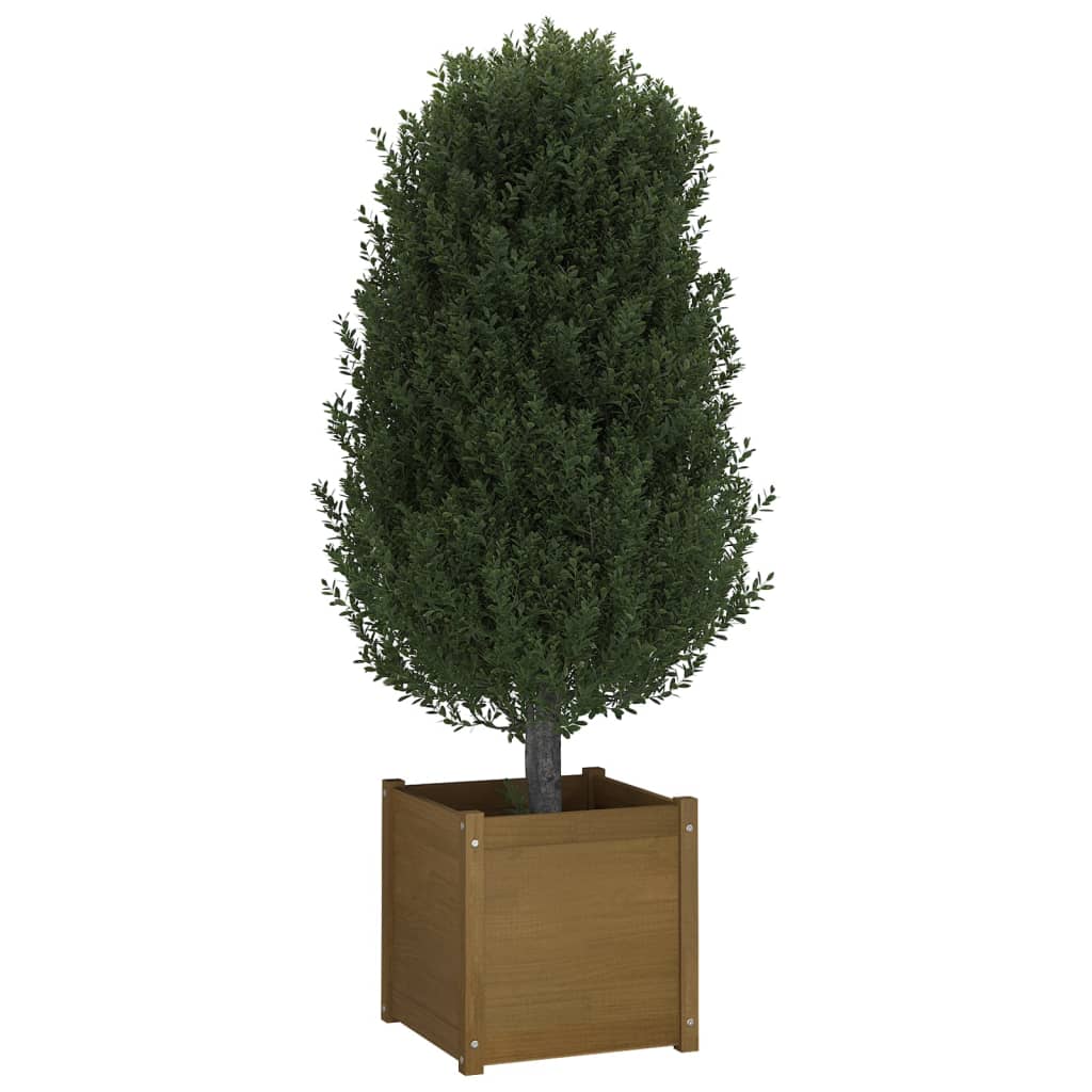 Fioriere 2 pz Ambra 50x50x50 cm in Legno Massello di Pino