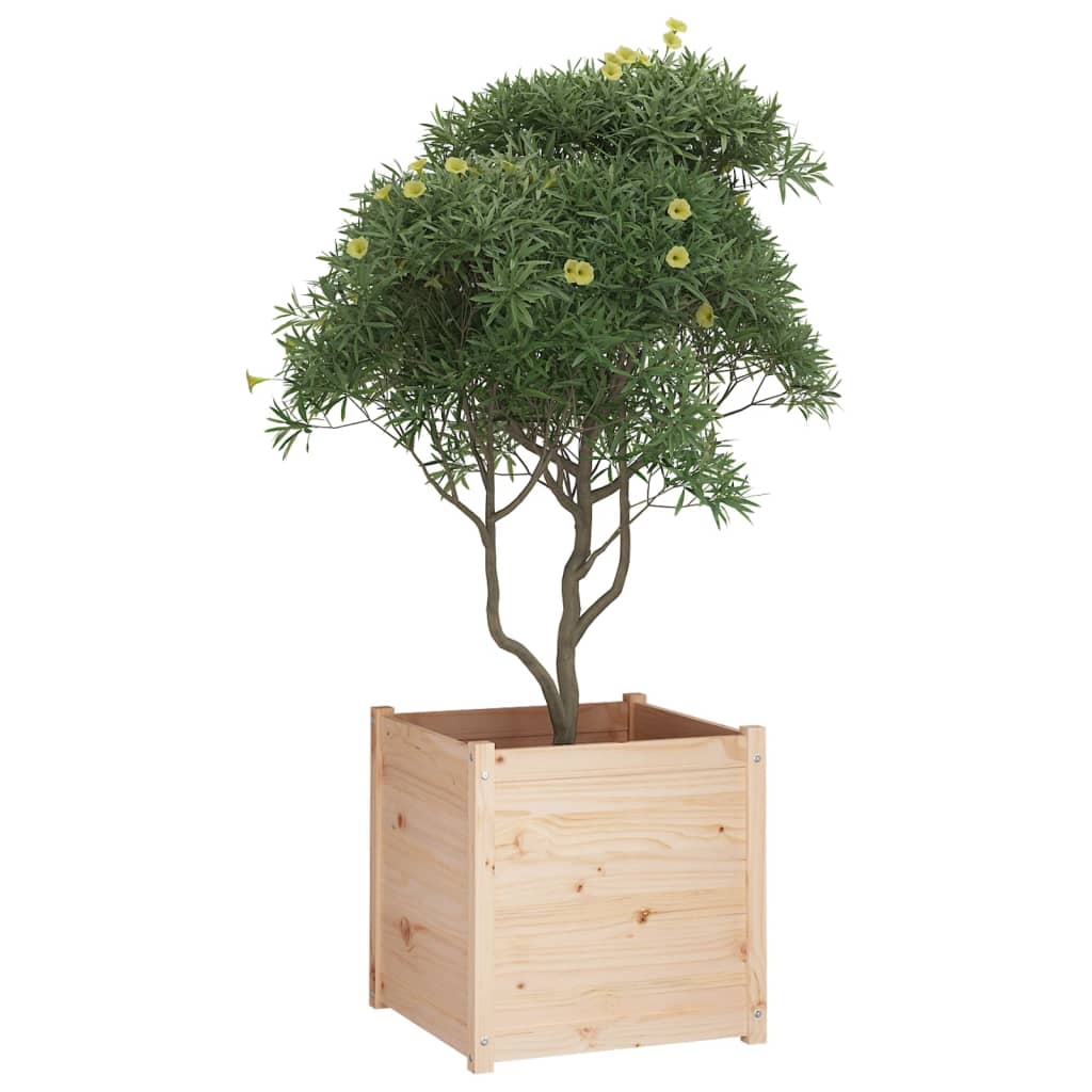 Fioriera da Giardino 60x60x60 cm in Legno Massello Di Pino