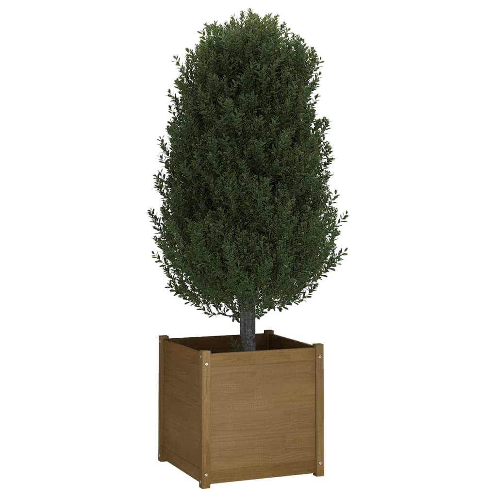 Fioriera Giardino Marrone Ambra 60x60x60 cm Legno Massello Pino