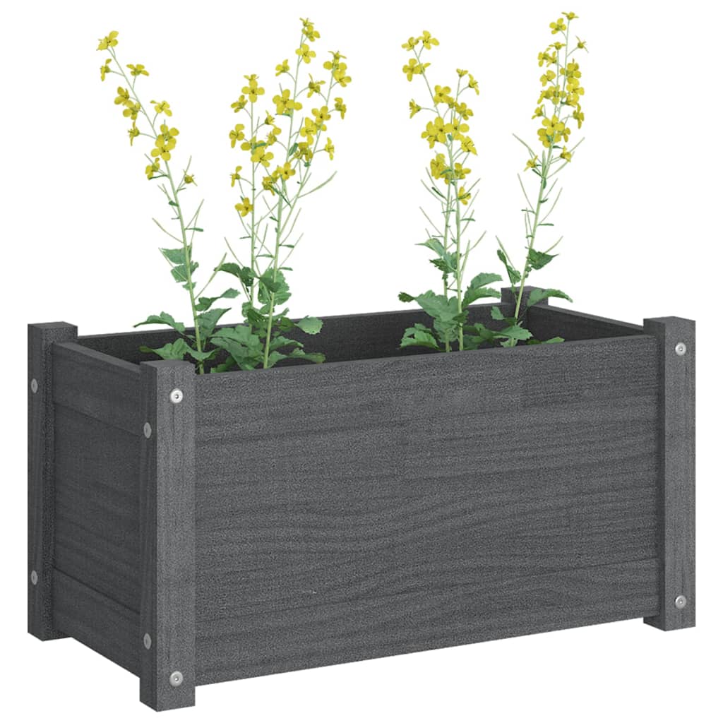 Fioriere da Giardino 2 pz Grigie 60x31x31cm in Massello di Pino