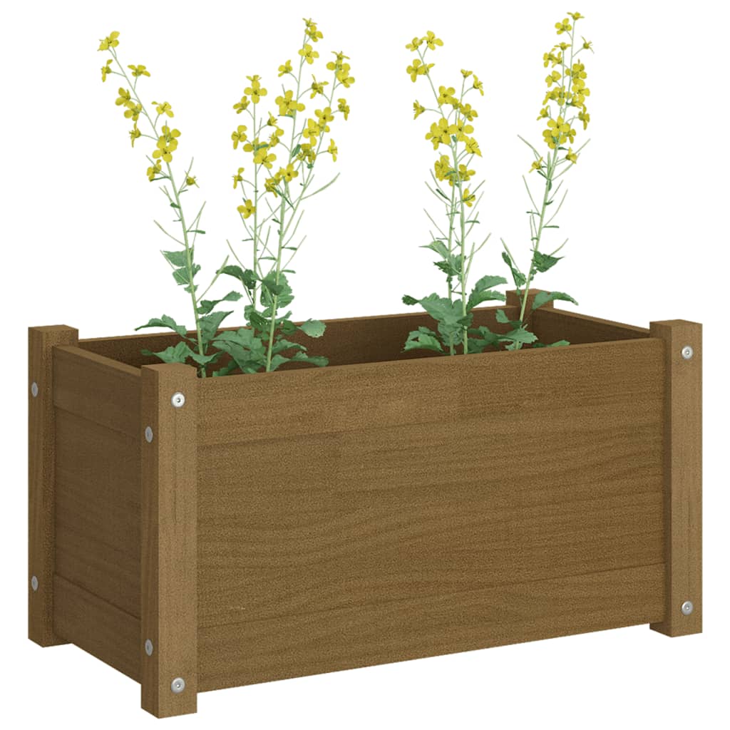 Fioriere 2 pz Ambra 60x31x31 cm in Legno Massello di Pino