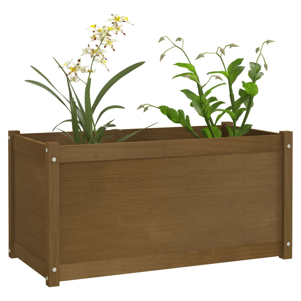 Fioriera Giardino Marrone Ambra 100x50x50cm Legno Massello Pino