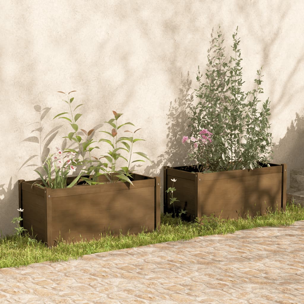 Fioriere 2 pz Ambra 100x50x50 cm in Legno Massello di Pino