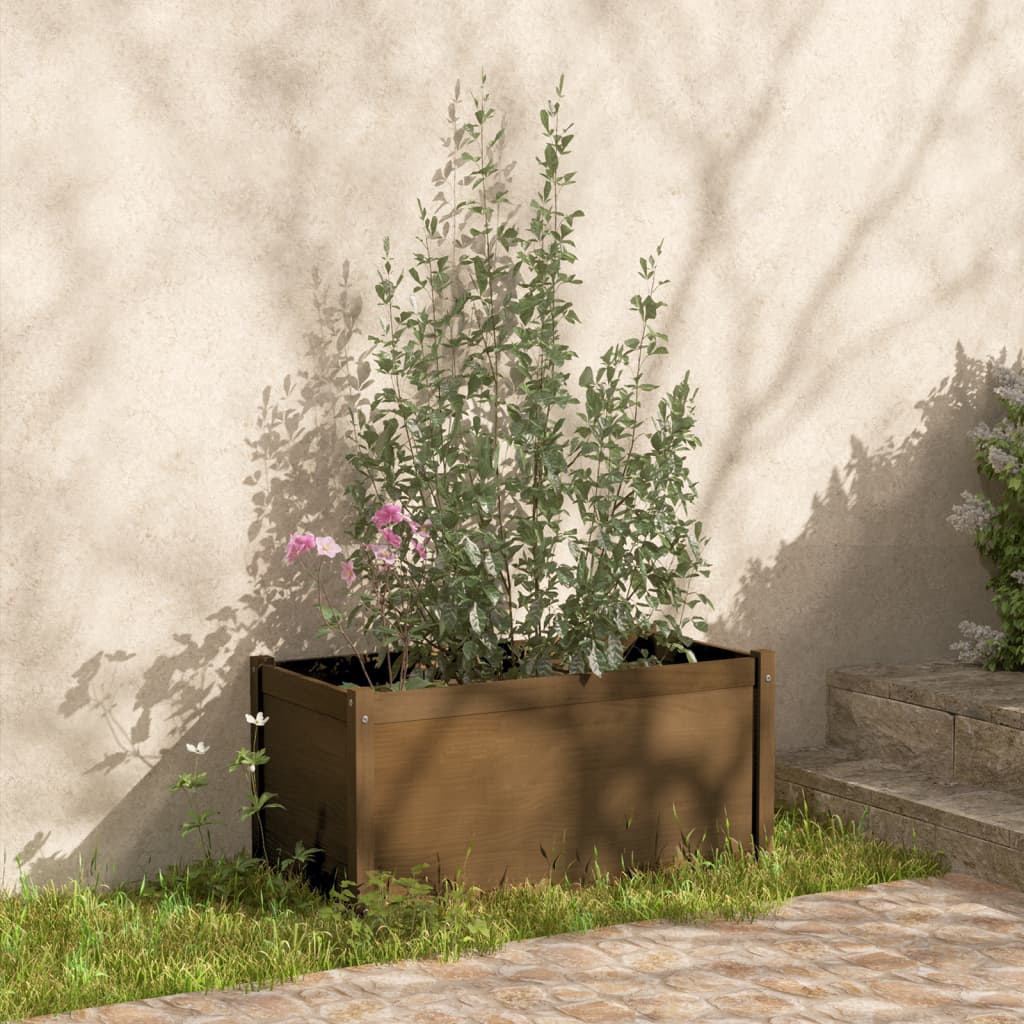 Fioriere 2 pz Ambra 100x50x50 cm in Legno Massello di Pino