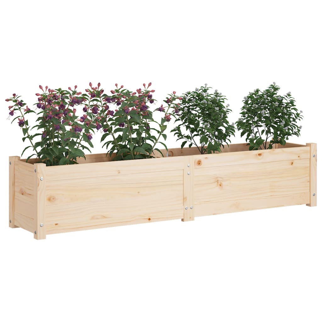 Letto Rialzato da Giardino 150x31x31 cm in Massello di Pino