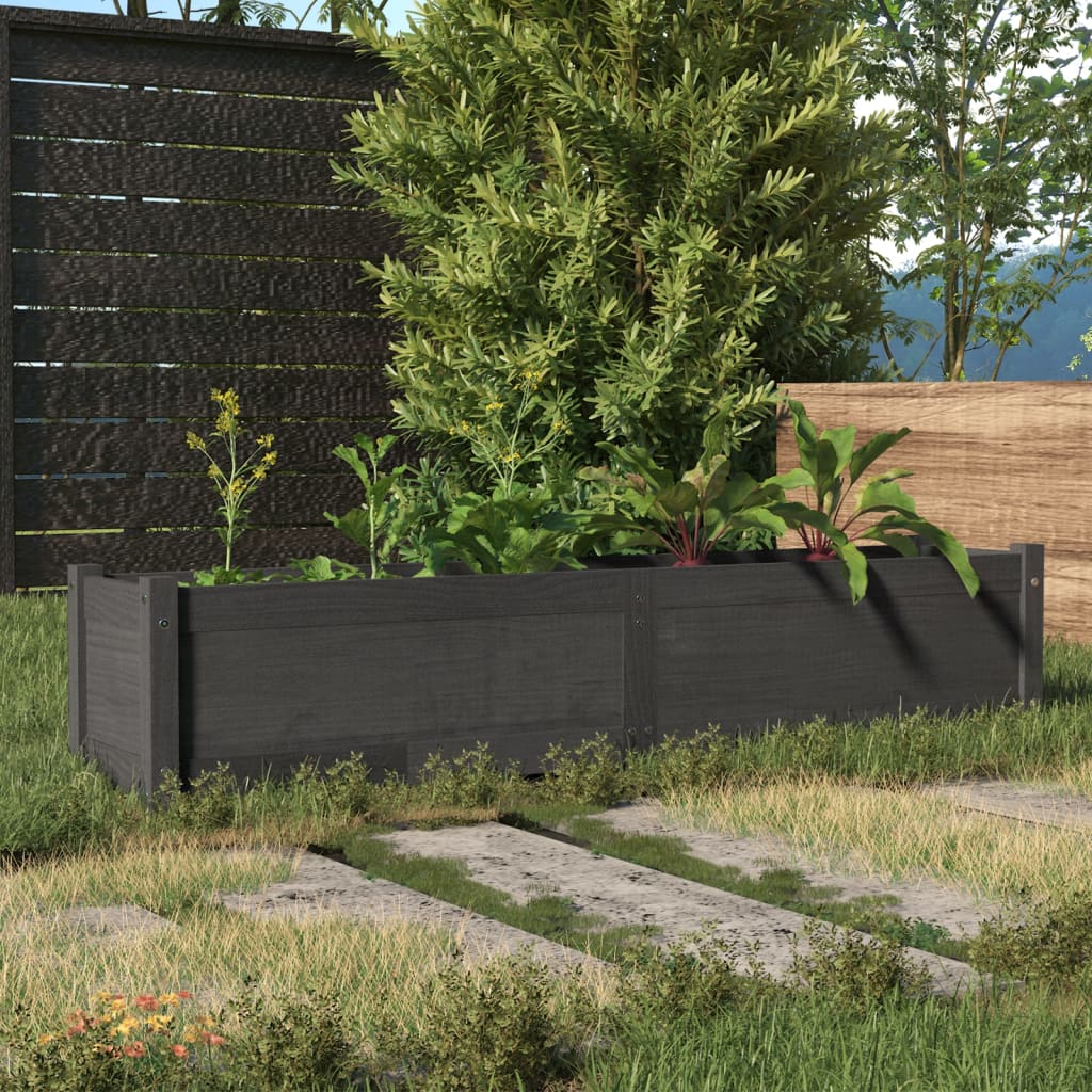 Letto Rialzato da Giardino Grigio 150x31x31 cm Massello di Pino