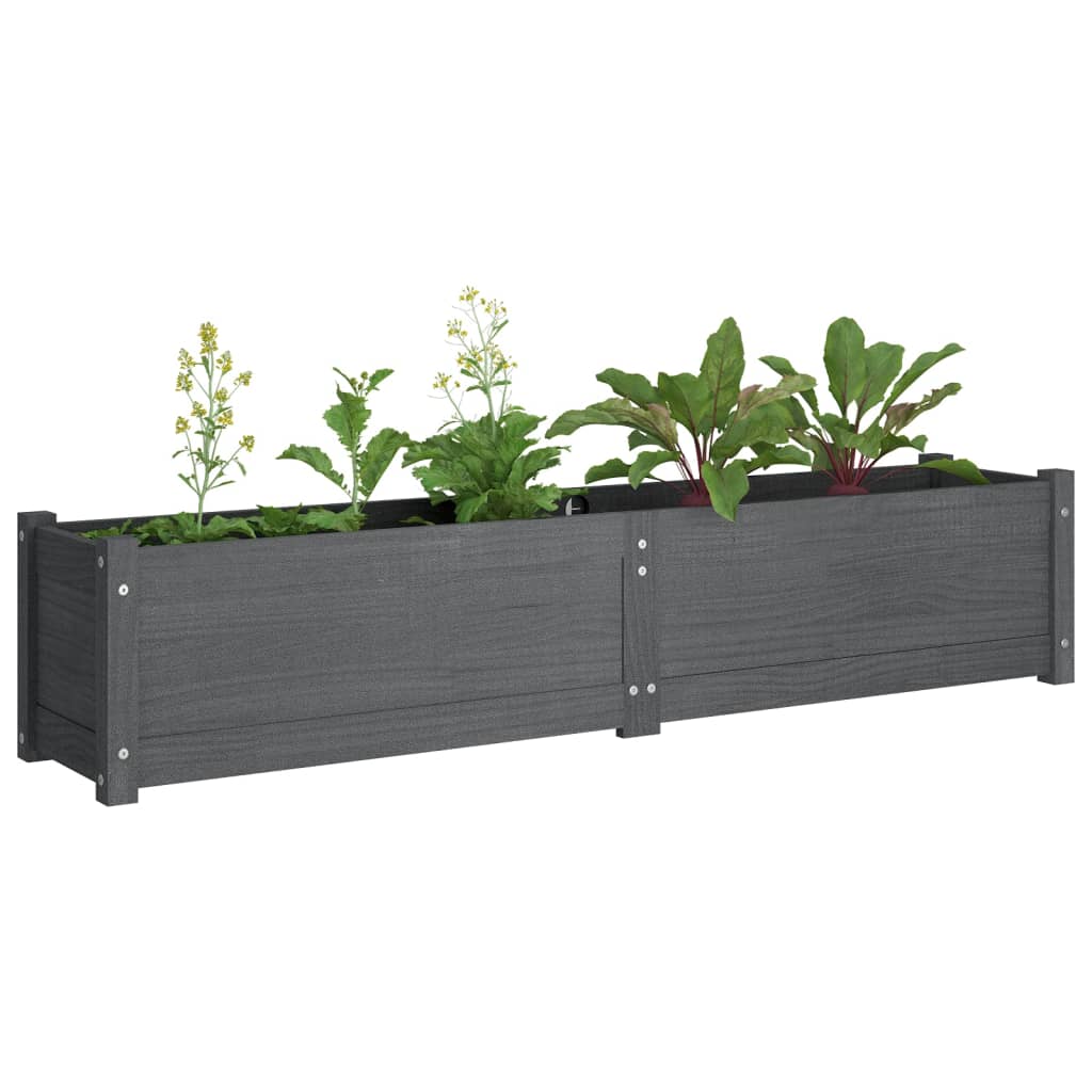 Letto Rialzato da Giardino Grigio 150x31x31 cm Massello di Pino