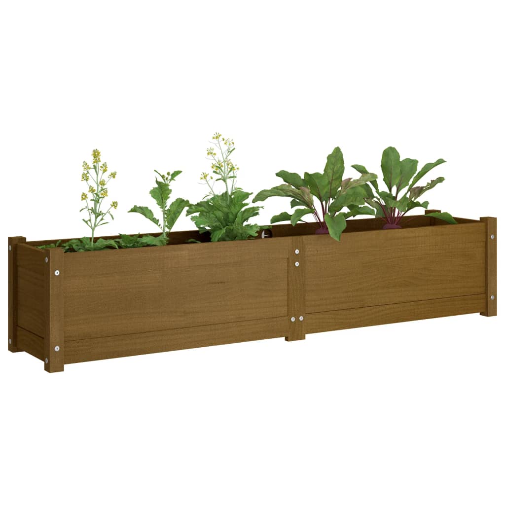 Fioriera Rialzata da Giardino Ambra 150x31x31 cm Massello Pino