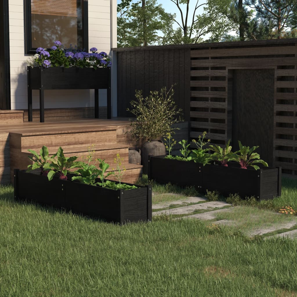 Letti Rialzati da Giardino 2 pz Neri 150x31x31 cm Legno di Pino