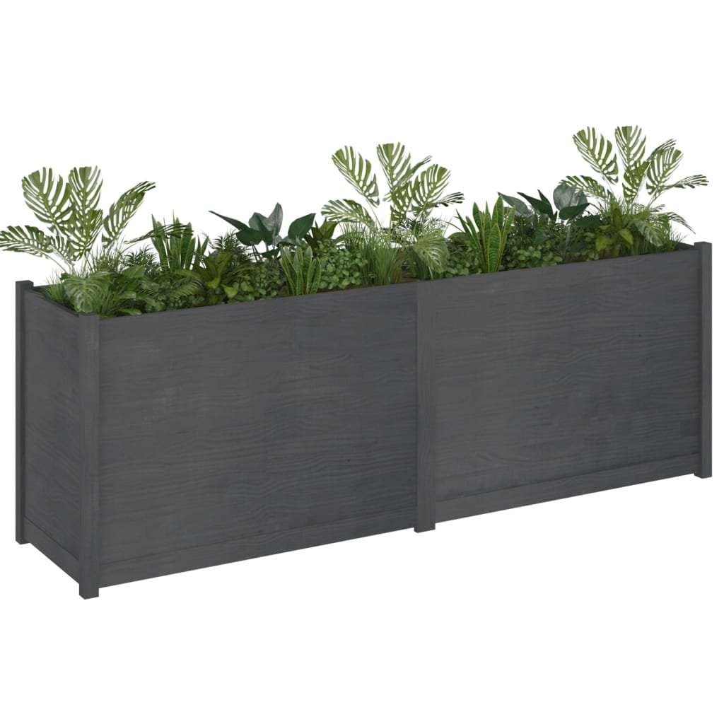Fioriera da Giardino Grigia 200x50x70 cm in Legno di Pino