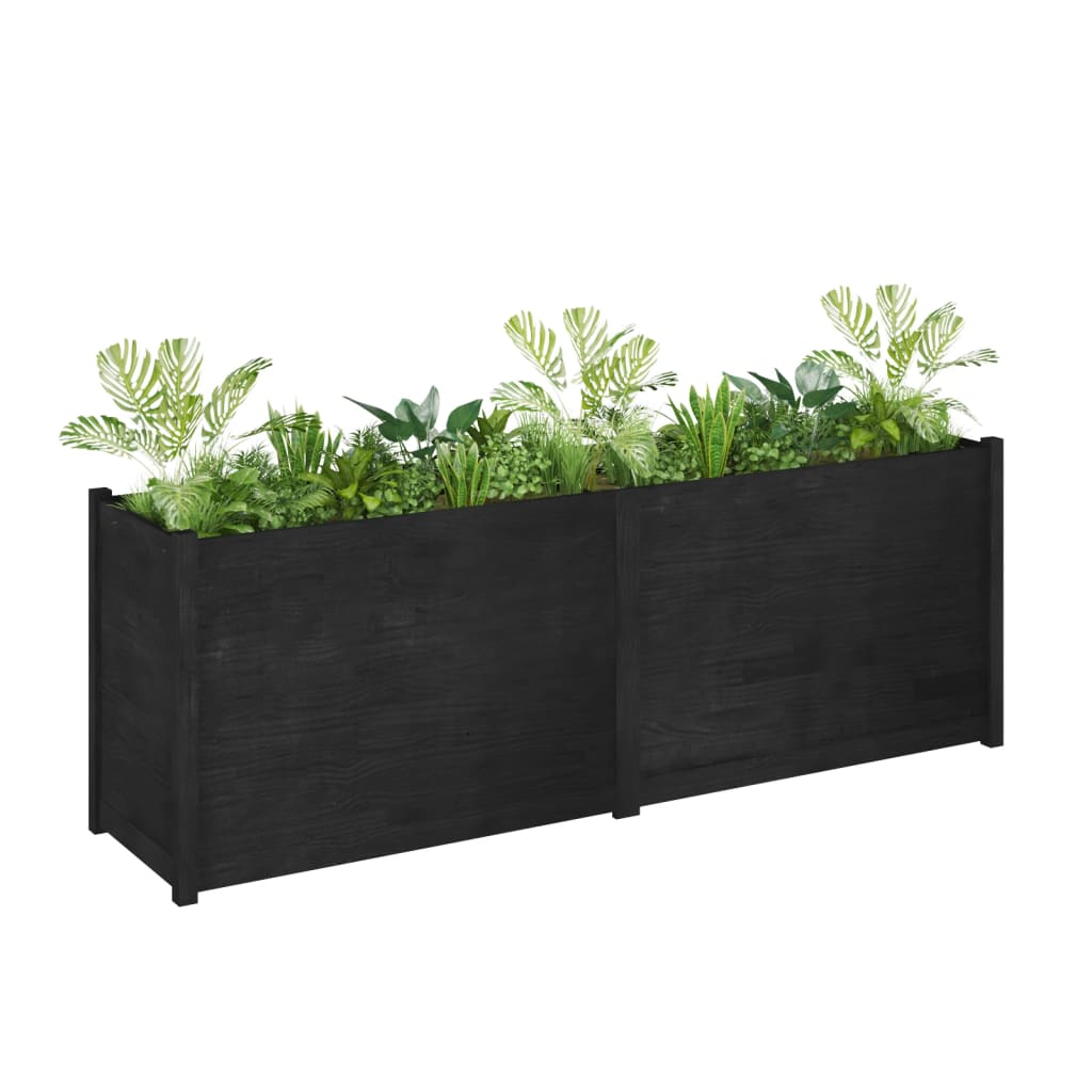 Fioriera da Giardino Nera 200x50x70cm in Legno Massello di Pino