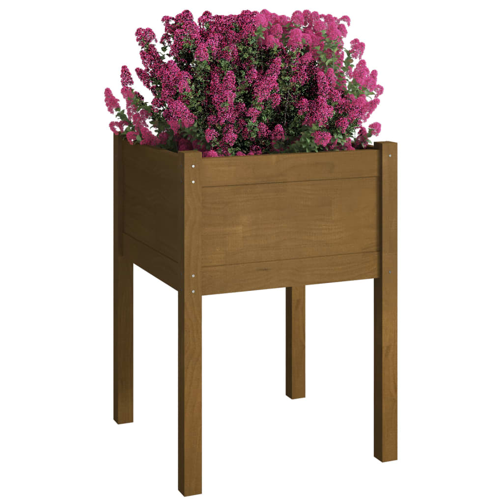 Fioriera Giardino Marrone Ambra 50x50x70 cm Legno Massello Pino