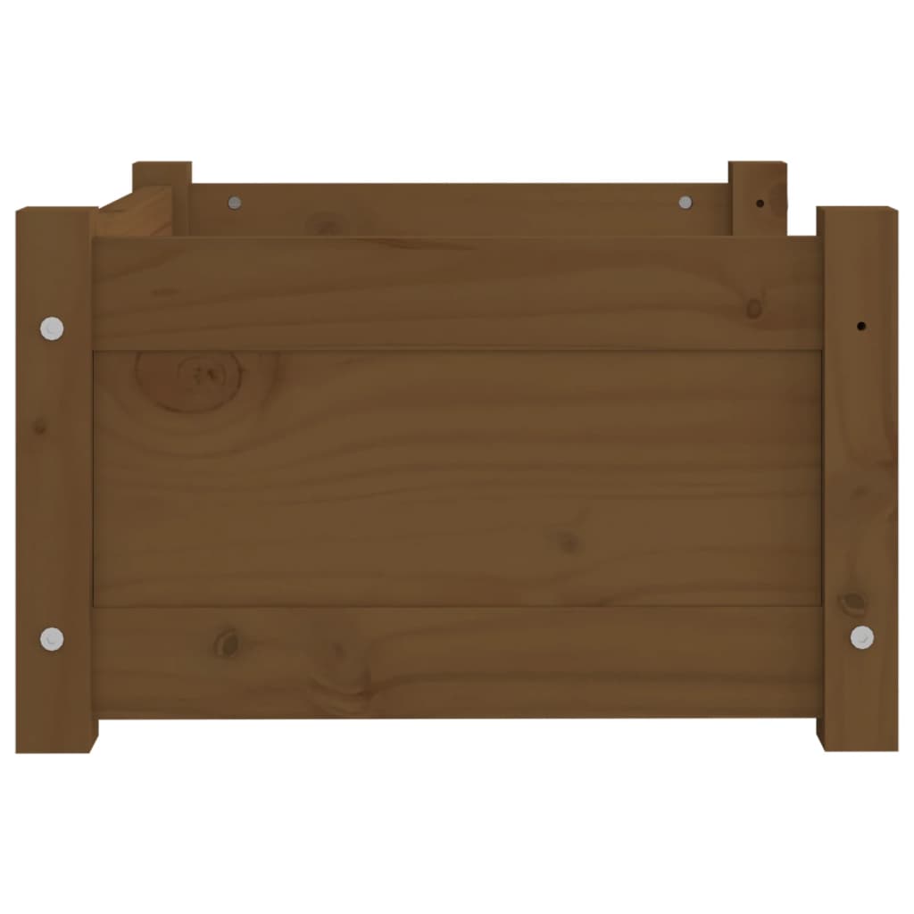 Cuccia per Cani Ambra 55,5x45,5x28 cm Legno Massello di Pino