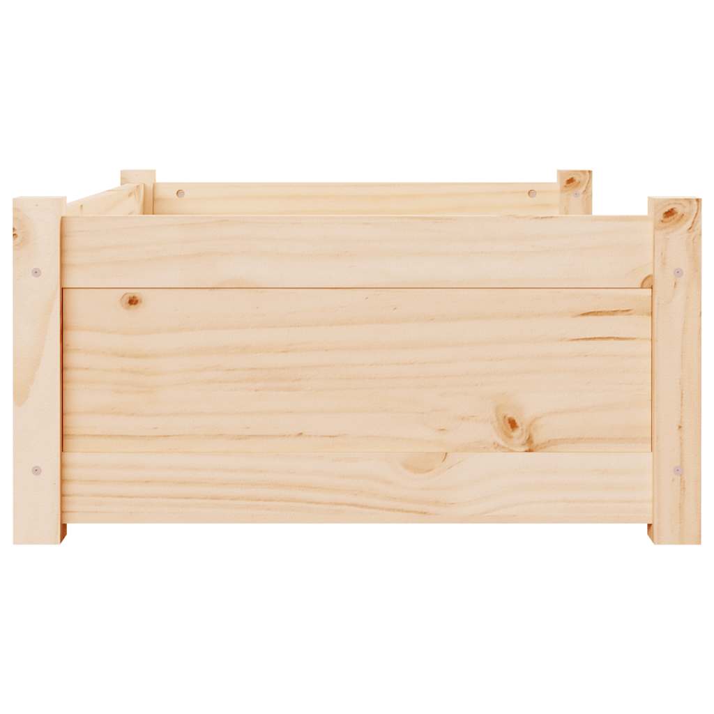 Cuccia per Cani 75,5x55,5x28 cm in Legno Massello di Pino