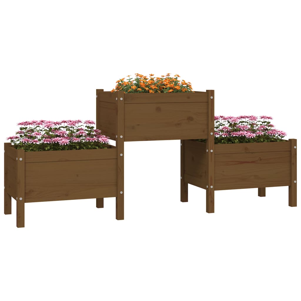 Fioriera Marrone Ambra 178,5x44x75 cm in Legno Massello di Pino