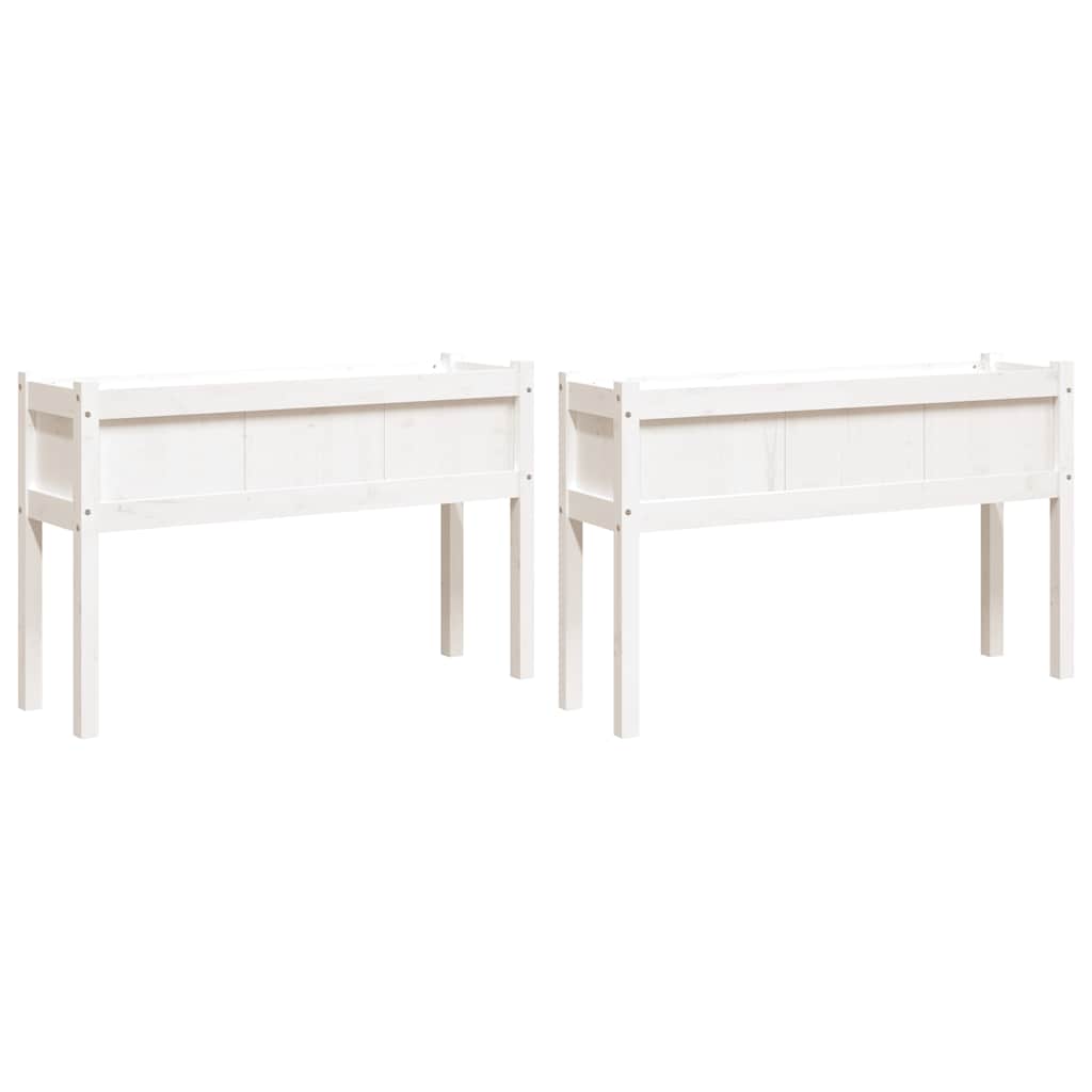Fioriere da Giardino 2 pz con Gambe Bianche Legno Massello Pino