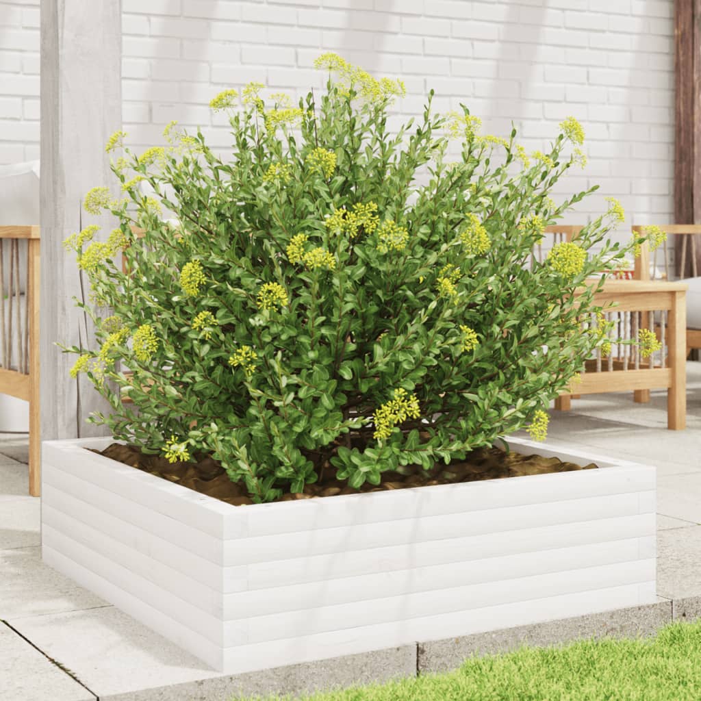 Fioriera da Giardino Bianca 80x80x23 cm Legno Massello di Pino