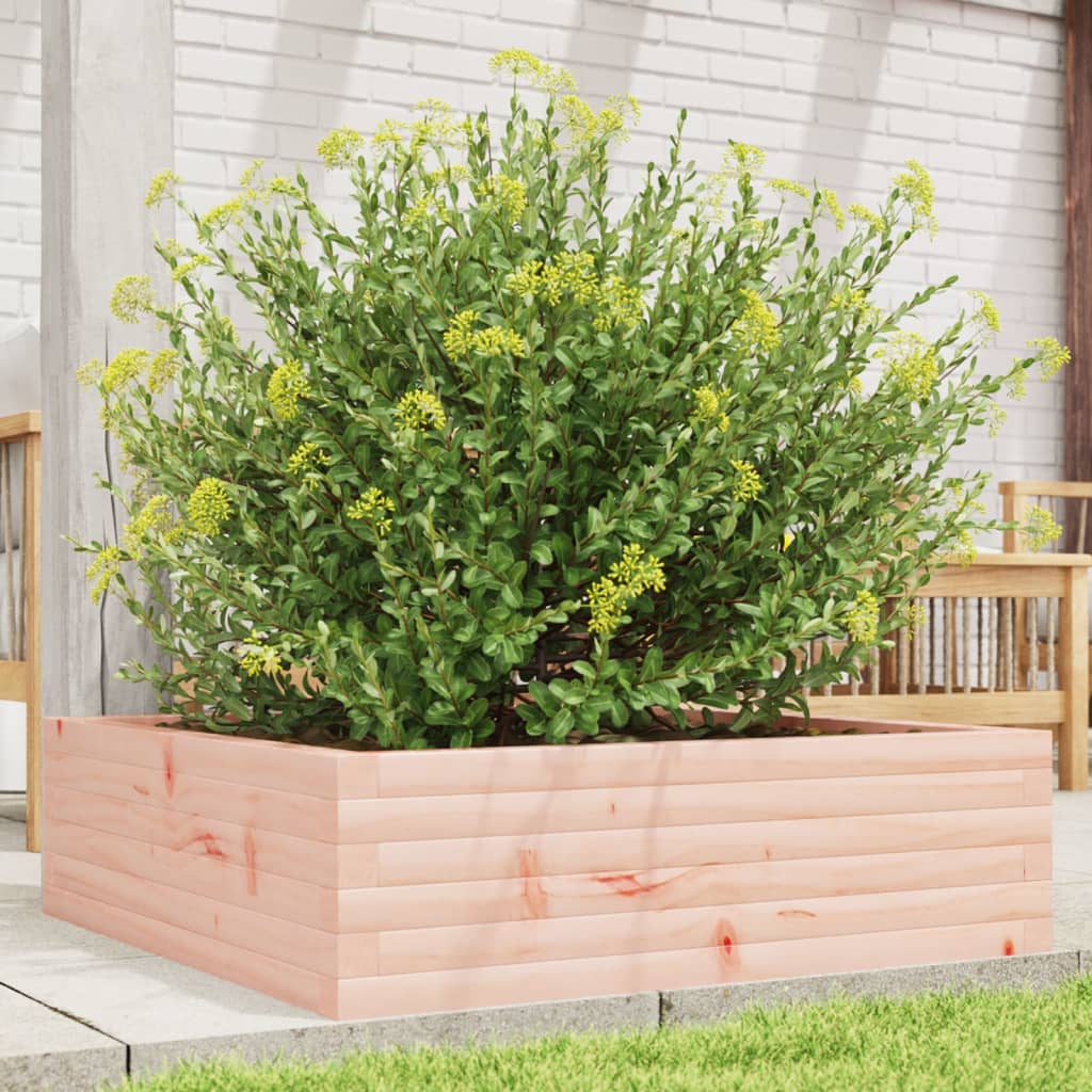Fioriera da Giardino 80x80x23 cm in Legno Massello di Douglas