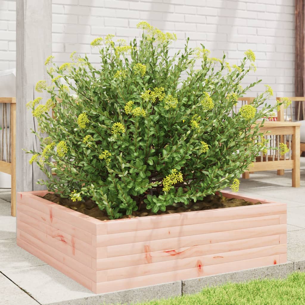 Fioriera da Giardino 80x80x23 cm in Legno Massello di Douglas