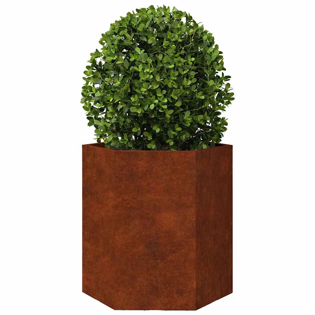 Fioriere da Giardino 2 pz Esagono 46x40x45 cm in acciaio corten