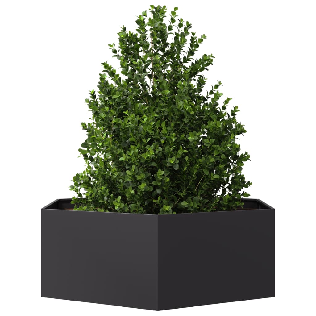 Fioriera da Giardino Nera Esagono 138x120x45 cm in Acciaio