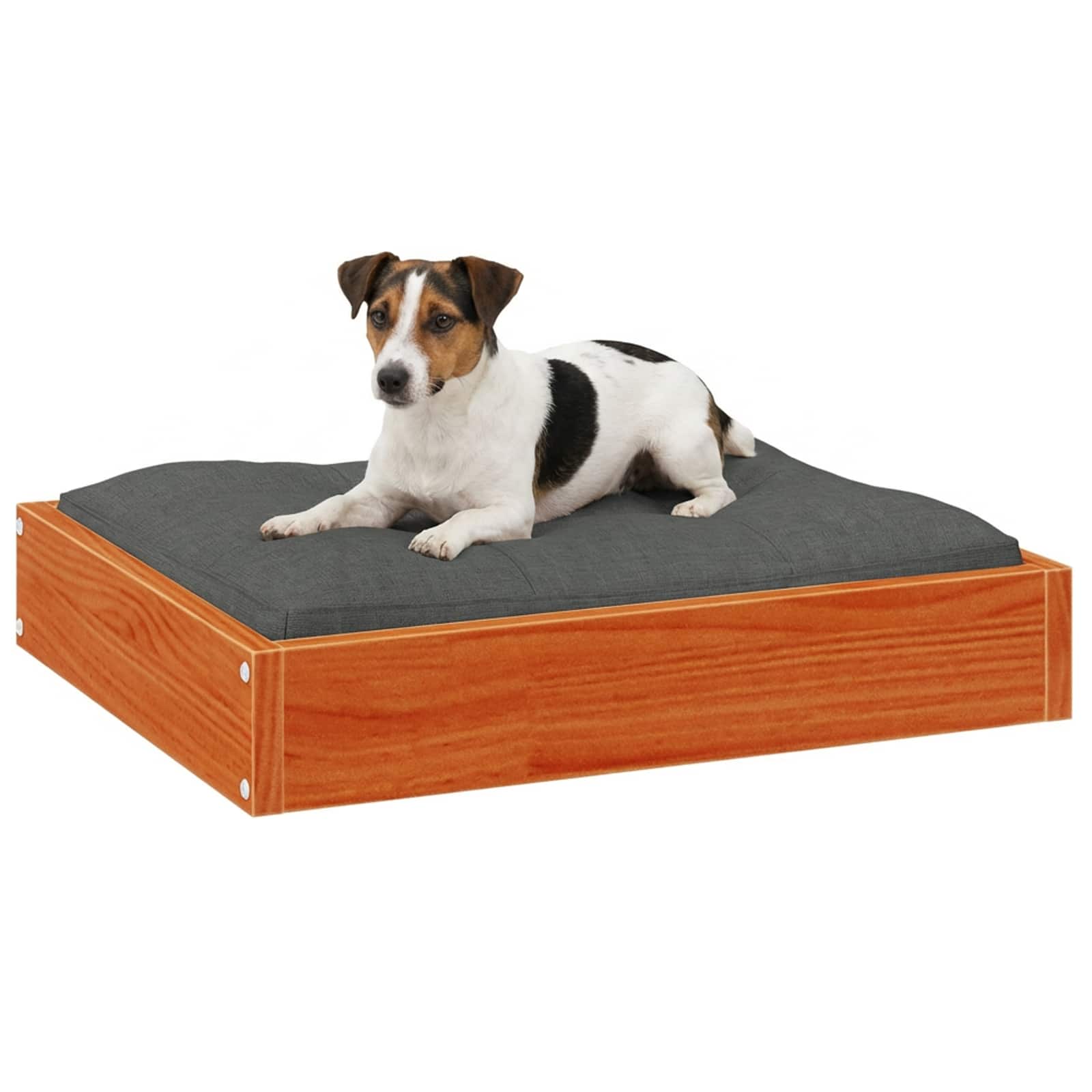 Letto per Cani Marrone cerato 51,5 x 44 x 9 cm