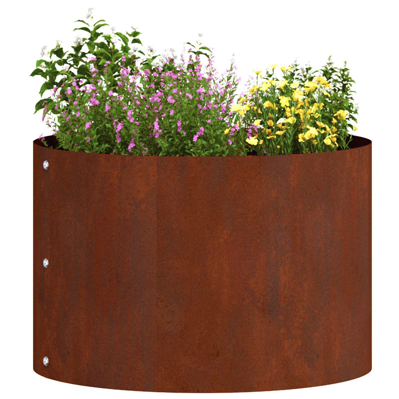 Anello per vaso 5 pz Ruggine 30 x 30 x 20 cm