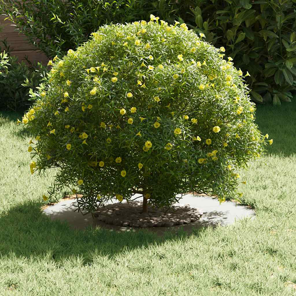 adatto per Anello d'Albero Piatto Bianco Ø30/60 cm Acciaio