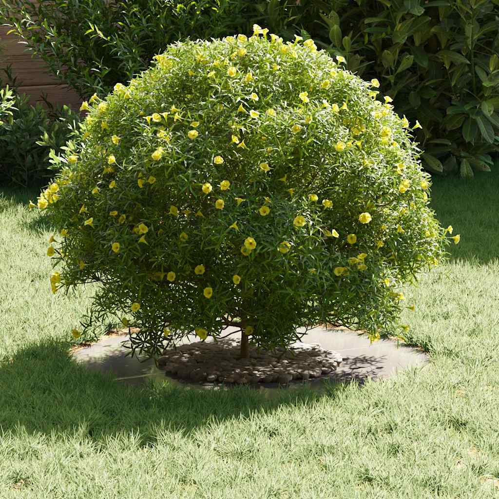 adatto per Anelli d'Albero Piatto 5 pz Argento Ø30/60 cm