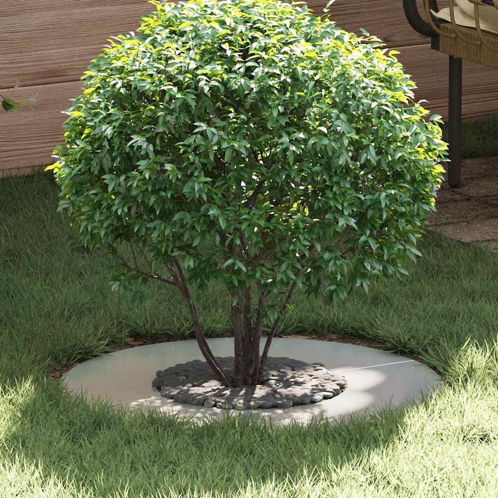 adatto per Anello d'Albero Piatto Argento Ø30/60 cm