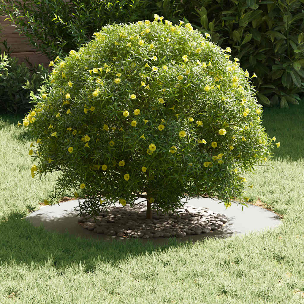adatto per Anello d'Albero Piatto Bianco Ø40/70 cm Acciaio