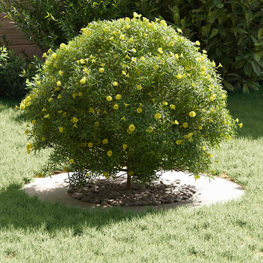 adatto per Anelli d'Albero Piatto 5 pz Bianco Ø40/70 cm Acciaio