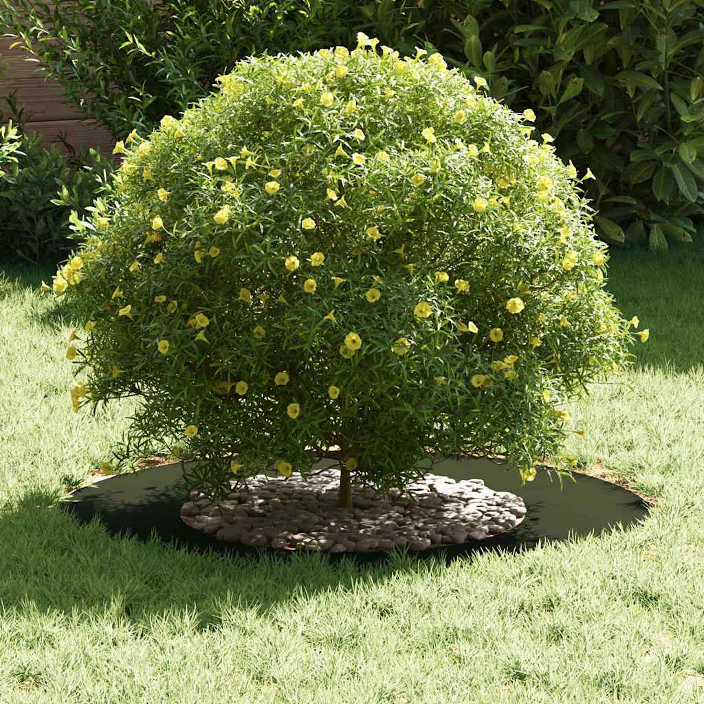 Anello d'albero Verde oliva Ø40/70 cm Acciaio laminato a freddo