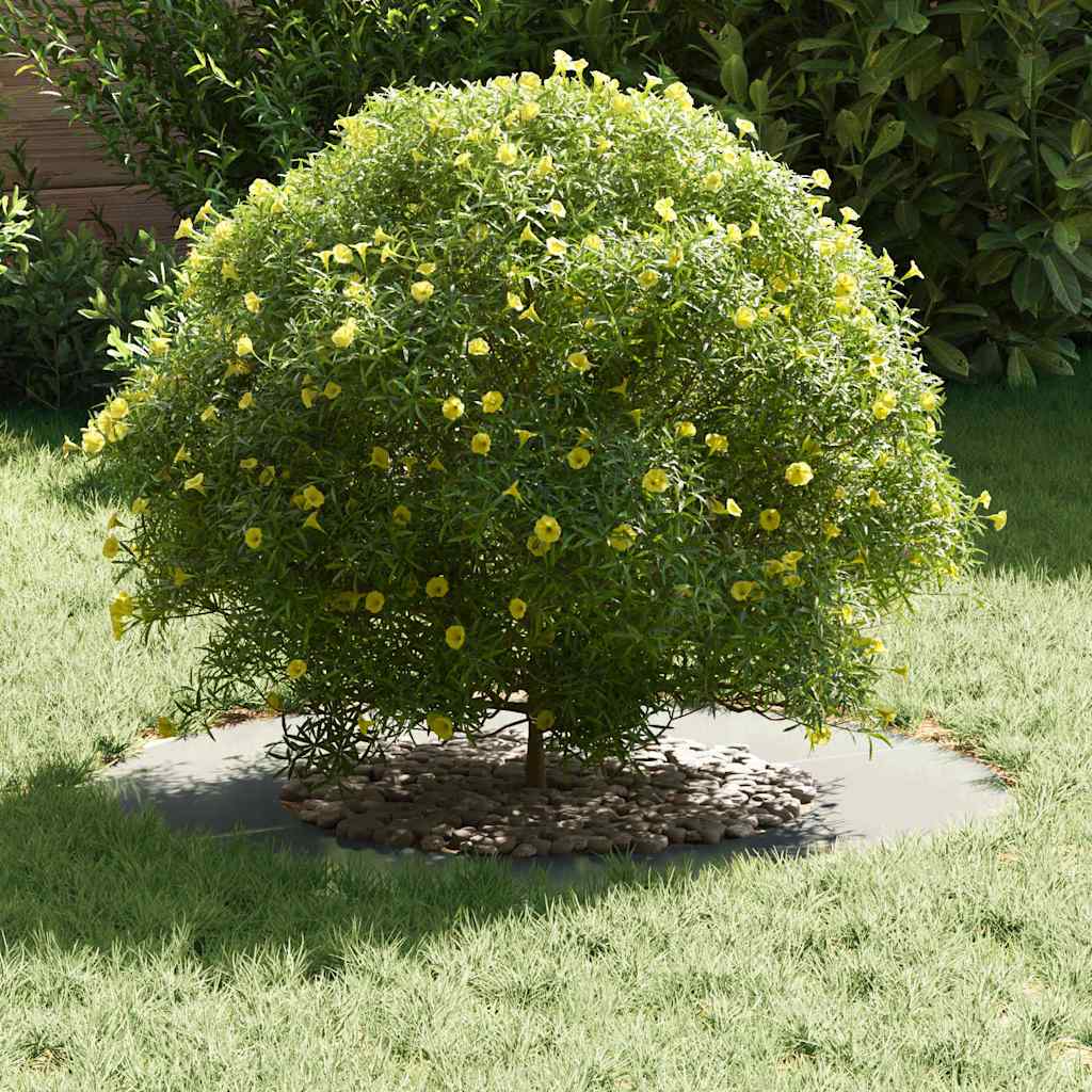 adatto per Anello d'Albero Piatto Argento Ø40/70 cm