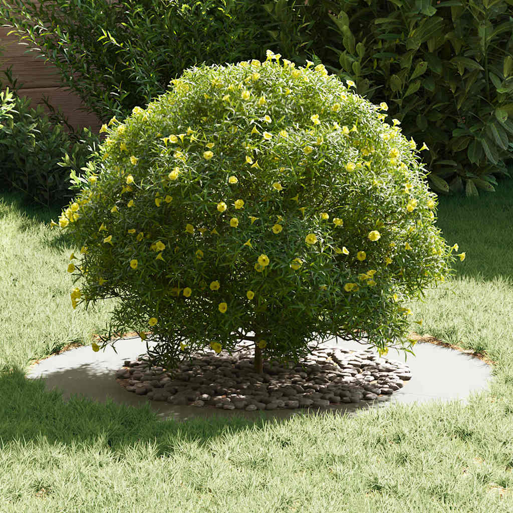 adatto per Anello d'Albero Piatto Bianco Ø50/80 cm Acciaio