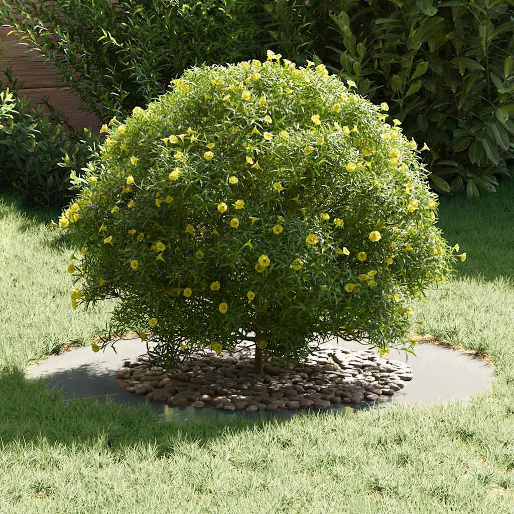 adatto per Anello d'Albero Piatto Argento Ø50/80 cm