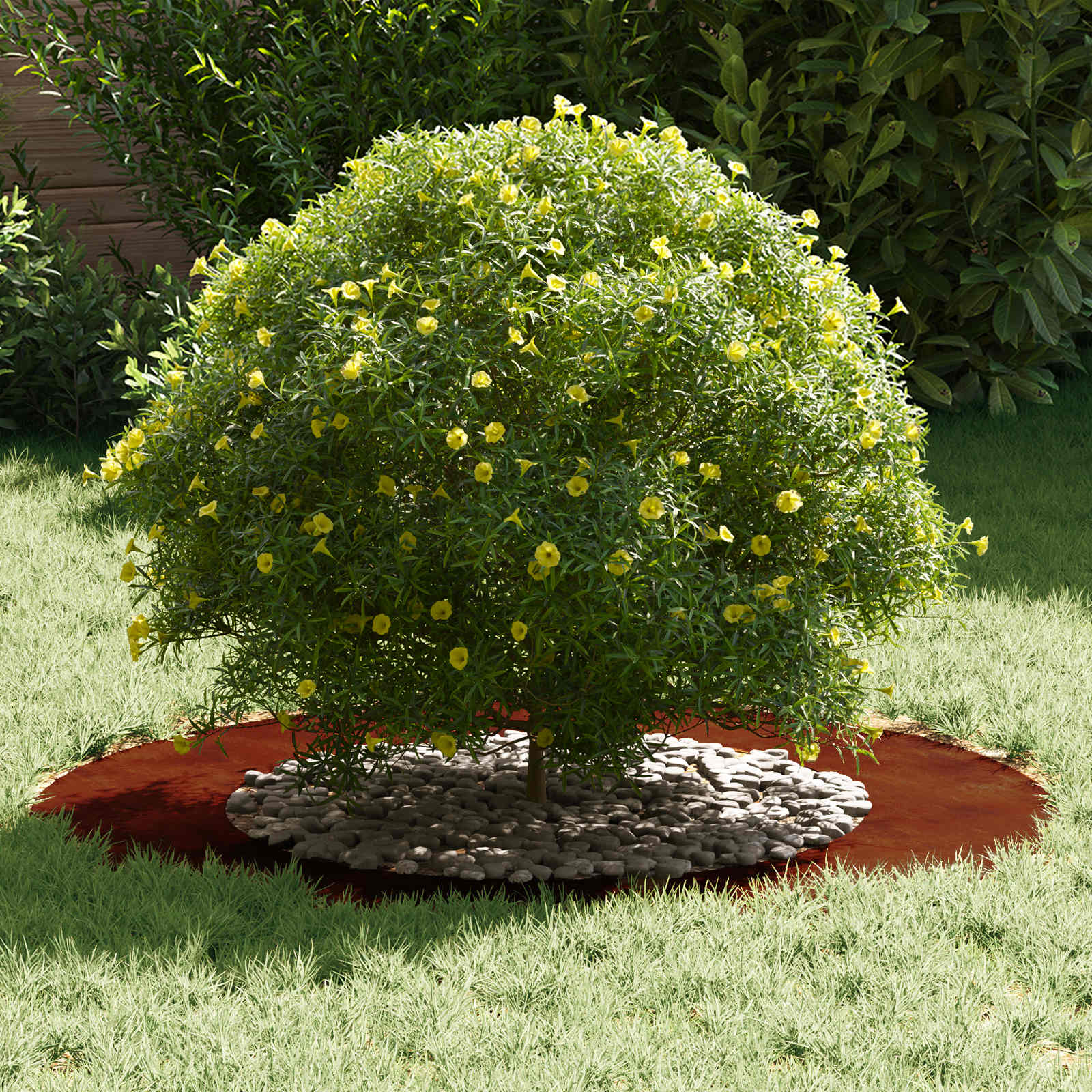 adatto per Anello d'Albero Piatto Ruggine Ø50/80 cm