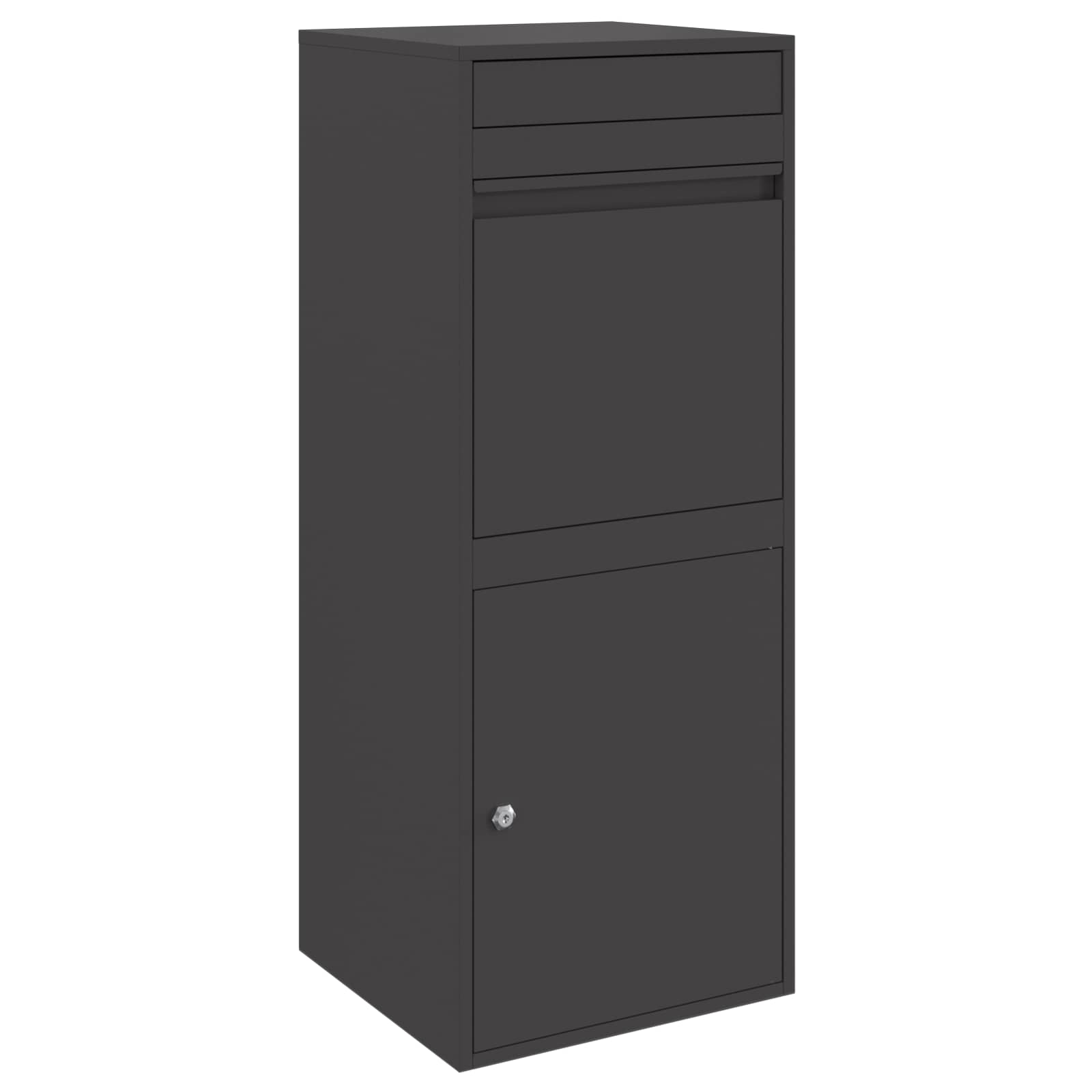 Cassetta per pacchi con porta Nero 41 x 38 x 103 cm Acciaio