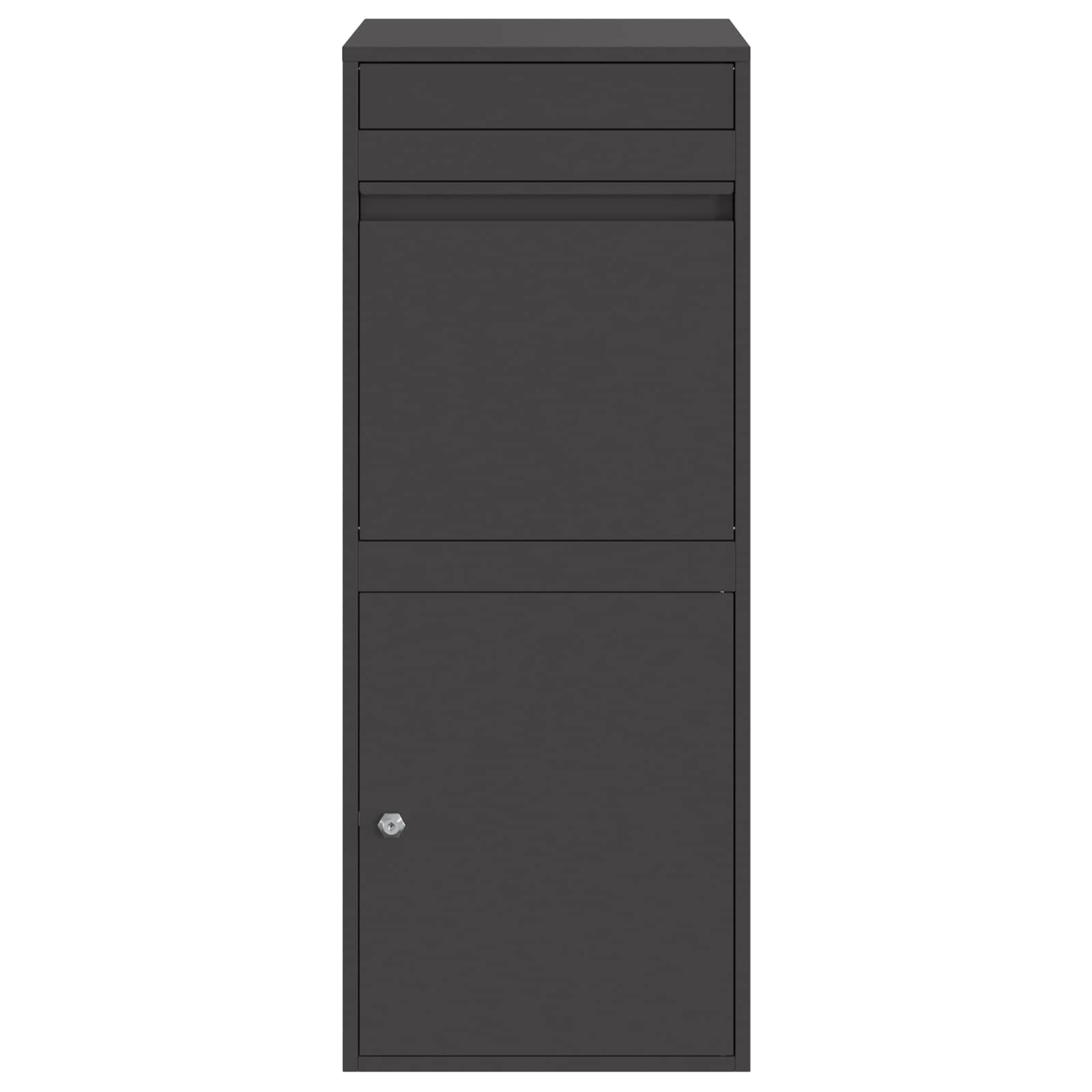 Cassetta per pacchi con porta Nero 41 x 38 x 103 cm Acciaio