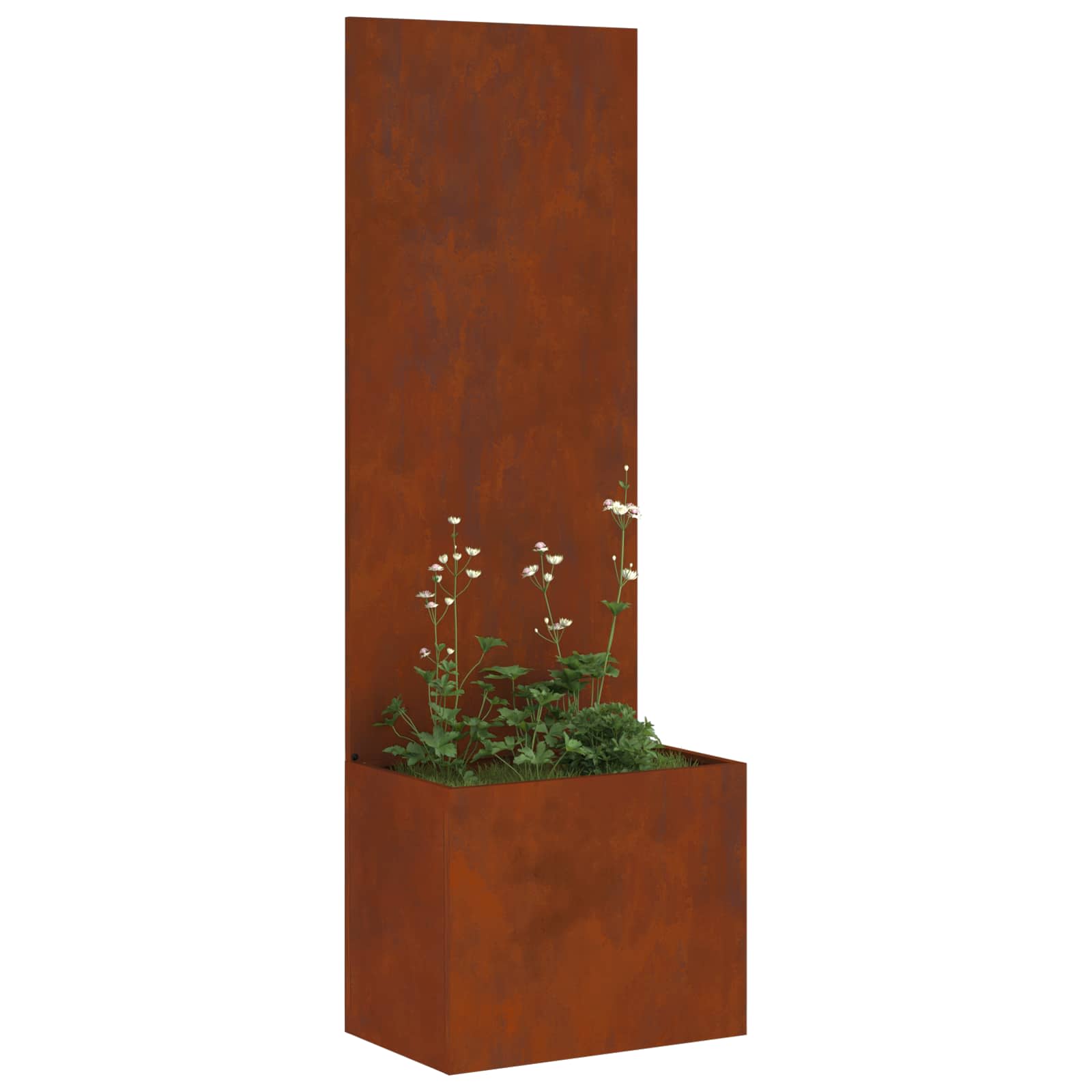 Schermo per privacy in giardino Ruggine 50 x 32 x 150 cm