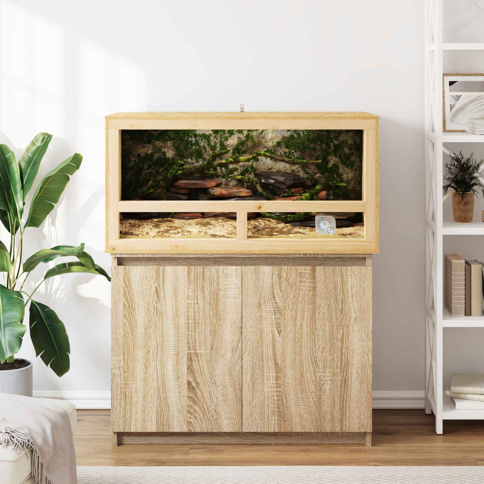 Terrario Marrone 100 x 50 x 50 cm OSB