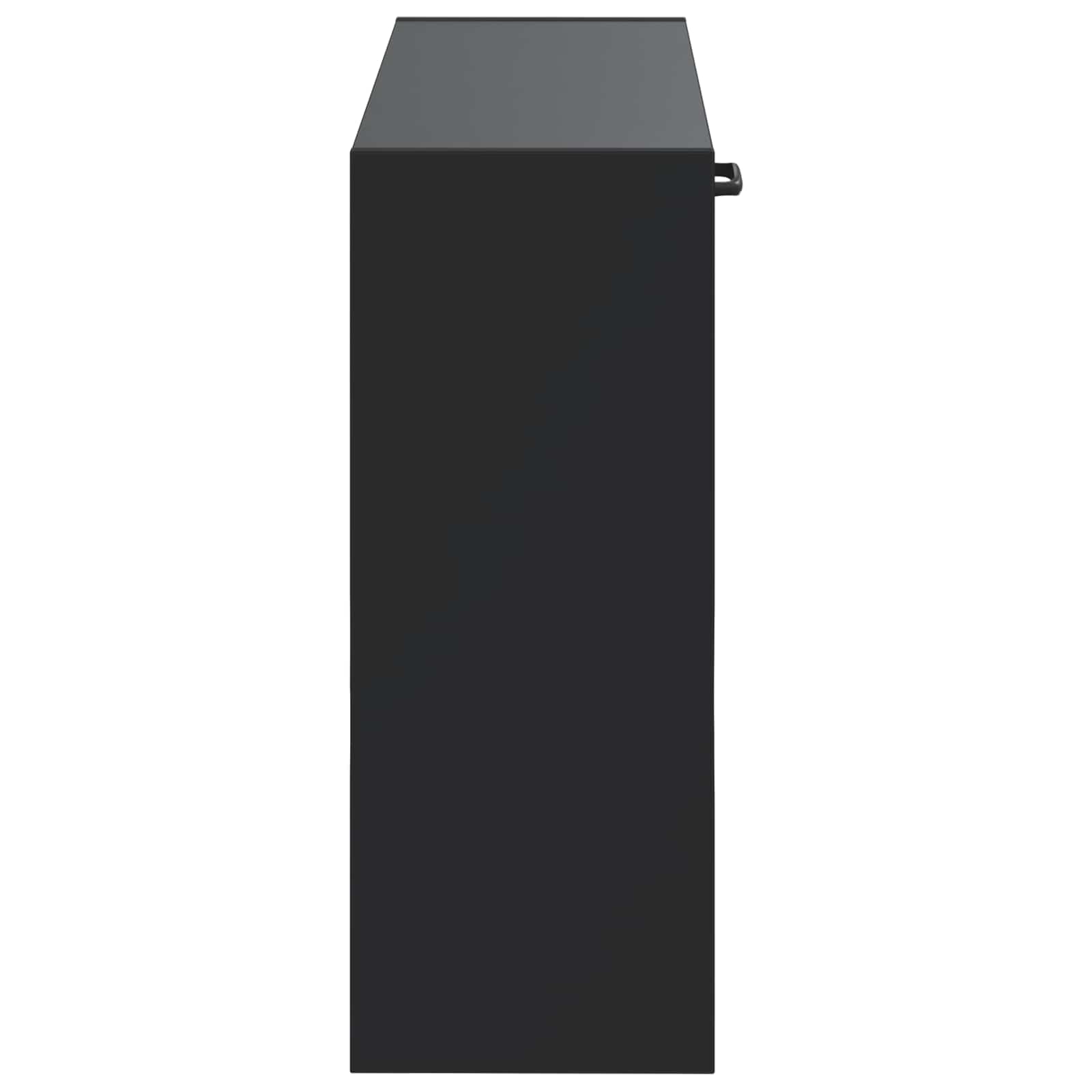 Mobiletto per Scarpe da Muro HAARLEM 71 x 17 x 43 cm Nero